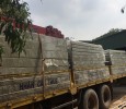 THANG MÁNG CÁP - TỦ BẢNG ĐIỆN